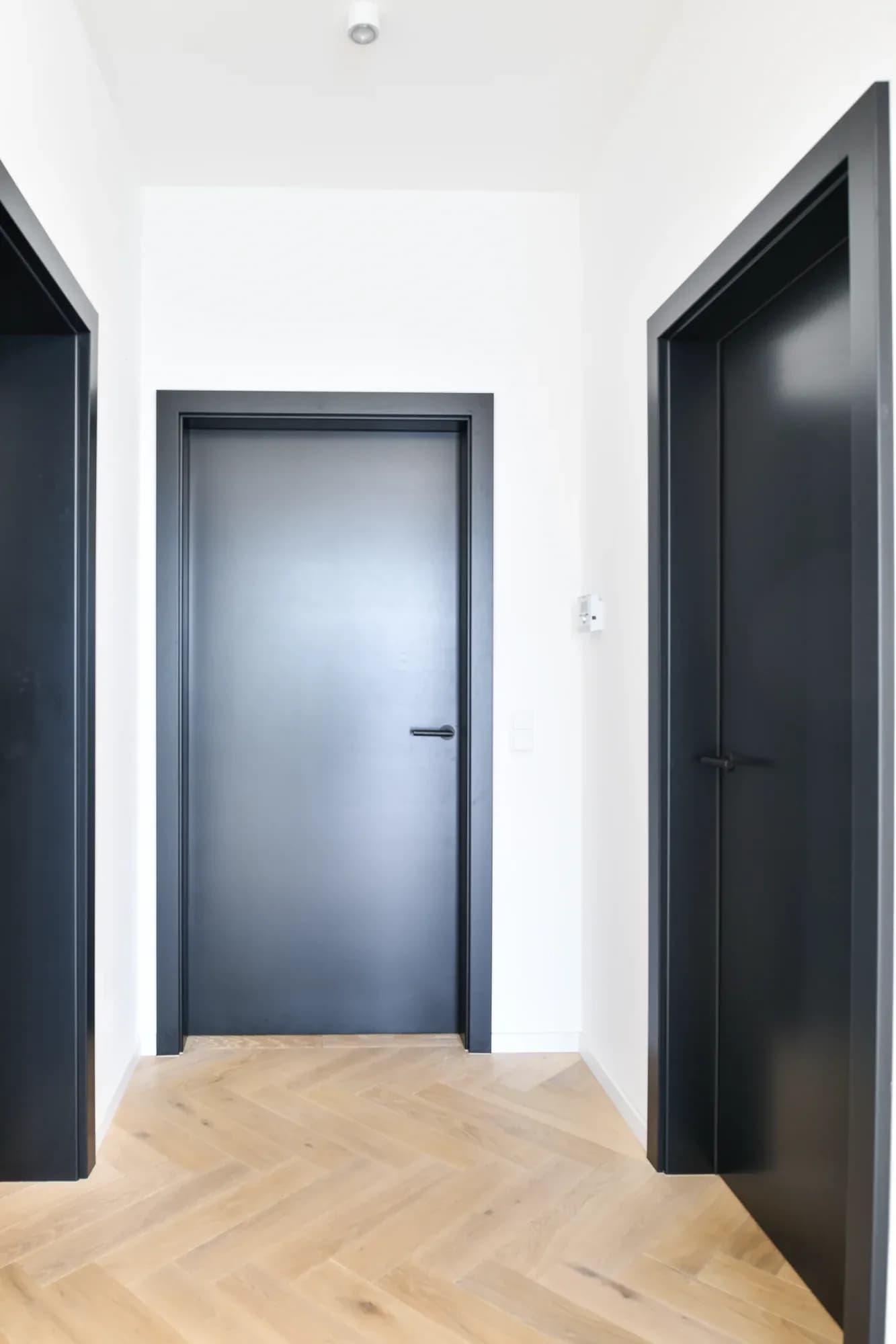 Anthrazitfarbene Loft-Innentür mit schwarzer Zarge vor einer grauen Wand mit zwei großformatigen Portraitbildern.