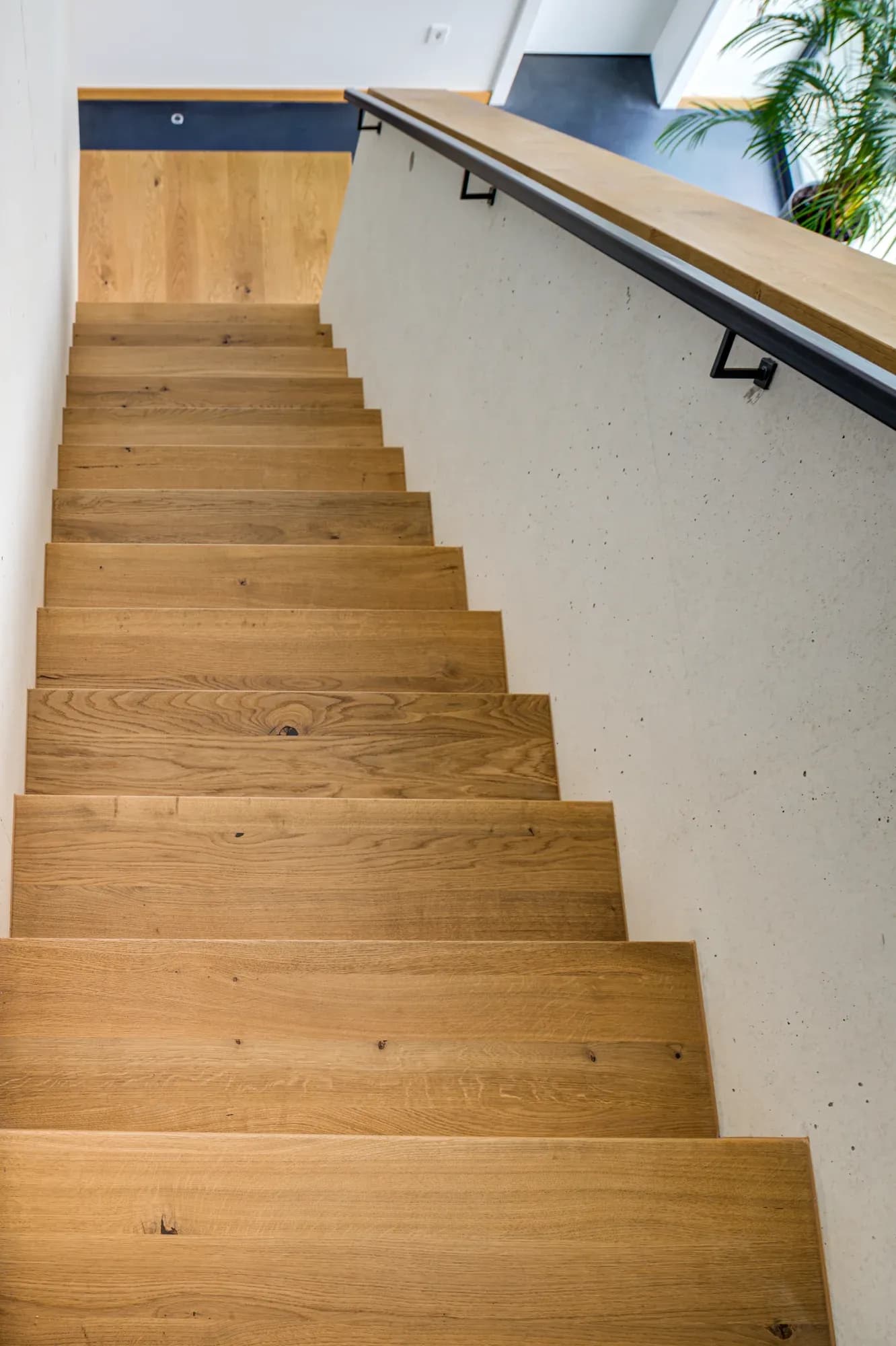 Frei getragene Eichentreppe mit massiven Stufen an weißer Wand.