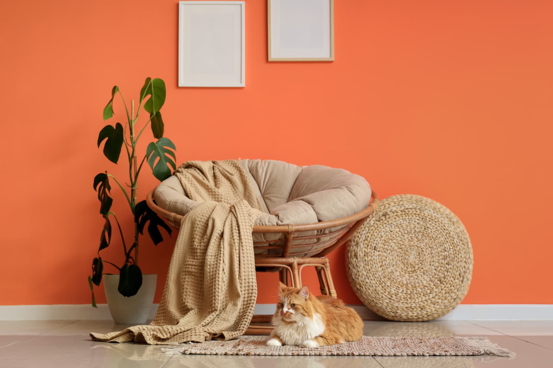 Gemütliche Sitzecke mit Rattansessel, Wolldecke und Kissen vor warmer Terrakotta-Wand, davor eine Katze auf einem Jute-Teppich